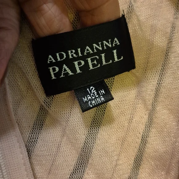 Adrianna Papell Sz 12. Blush Pink With A Shimmer To It.(1659) - Picture 9 of 11
